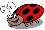 Catch the June Bug!