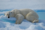 Feel the cold? 